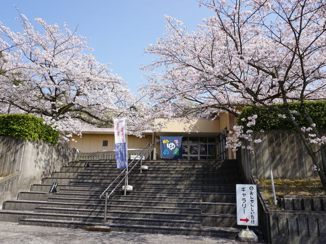 ���m�Y����@�l�G�̓��@�r�A�H�[