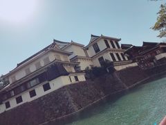 mizutamakȍqւ̓eʐ^1