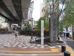 江戸川公園のさくらの口コミ一覧 じゃらんnet