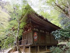 日本のどう　ガラス建築、室生寺他計4点 吉岡徳仁によるガラスのプロジェクト。 20年にわたって探求
