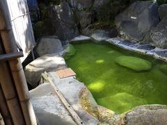 まさとんちんさんの熊の湯温泉（長野県山ノ内町）への投稿写真1