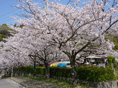 J`̓mY@lG̓@rAH[ւ̓eʐ^2