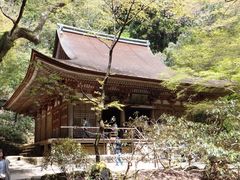 武士の時代の建立 - 室生寺本堂（灌頂堂）のクチコミ - じゃらんnet