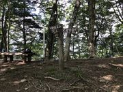 񂳂WASAMATA HUTTE̓eʐ^3