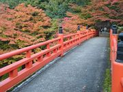 ǂ݂̗{_Ђ̍gt̓eʐ^3