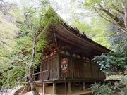 ڂ炳̎{i󒸓j̓eʐ^1