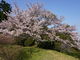 カメチャンさんの西山興隆寺への投稿写真2