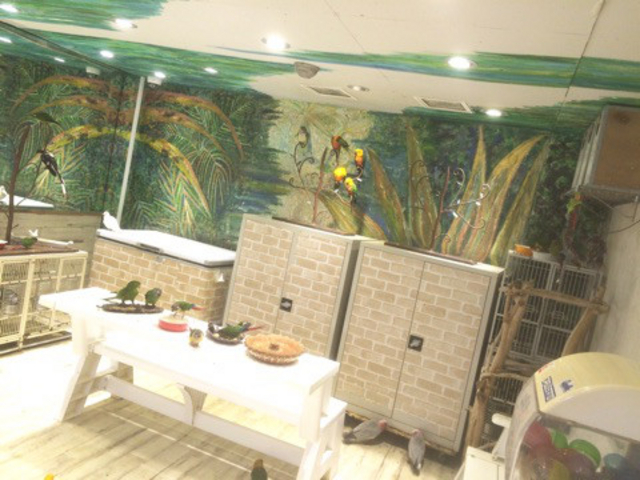 ���̂���J�t�F_���̂���J�t�F��ʖؓX