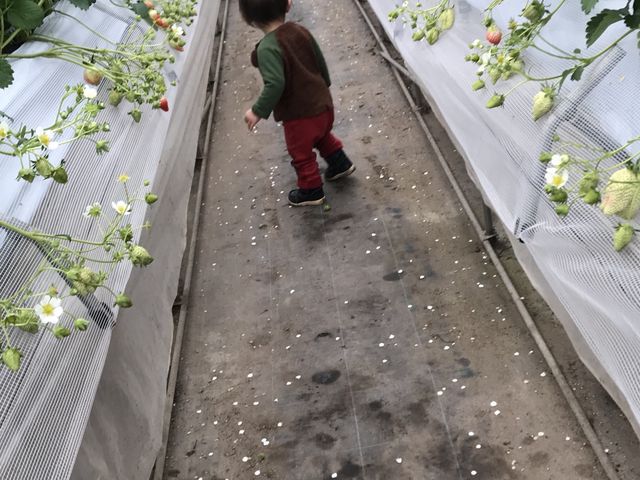 �y���������ł��B_�A�N�g�������t�@�[��