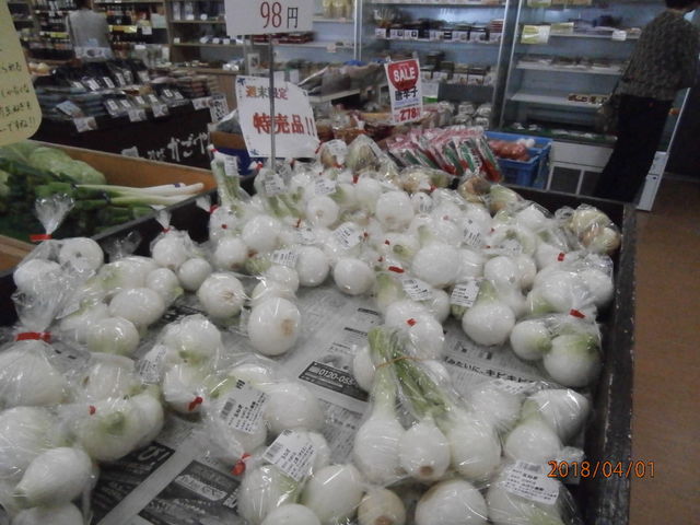 񂳂̓̉w ۂ؉Ԋق̓eʐ^3