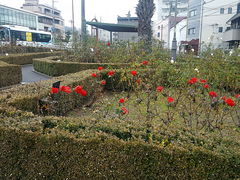 marimari̖{RXւ̓eʐ^1