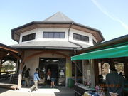 񂳂̉앨Y 悢񂹂̓eʐ^2