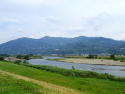 marimari̋I̐̓eʐ^1