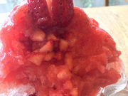 �p�J����̐D�� ���k��X�̓��e�ʐ^2