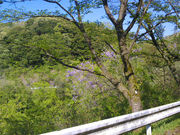 ponnkichi̗ΐ̓eʐ^1