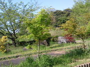 ponnkichi̗ΐ̓eʐ^2