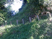 ponnkichi̖@R̓eʐ^2