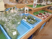 񂳂̓̉w ۂ؉Ԋق̓eʐ^2