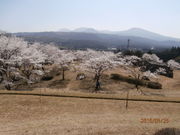 ��������񂳂�̒r�������̓��e�ʐ^2