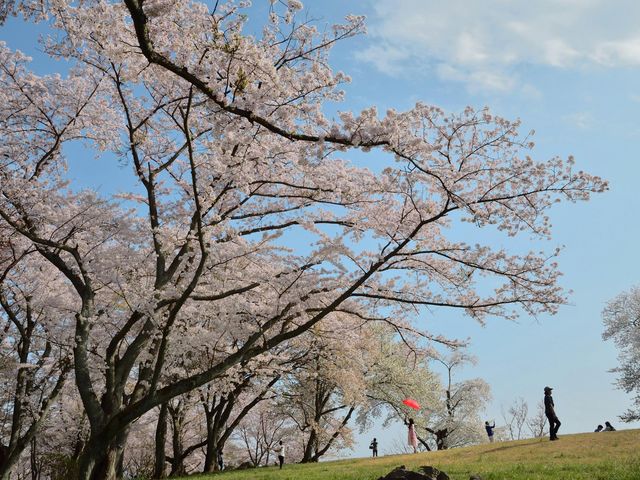 �Ԃ��P�͍��Ɏ�����_���_�o�R