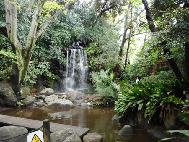 ؁XɈ͂܂ꏭЂƂCCǂłB_̑