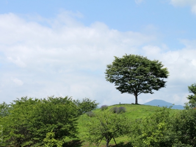 ��͌�����_��͌�����