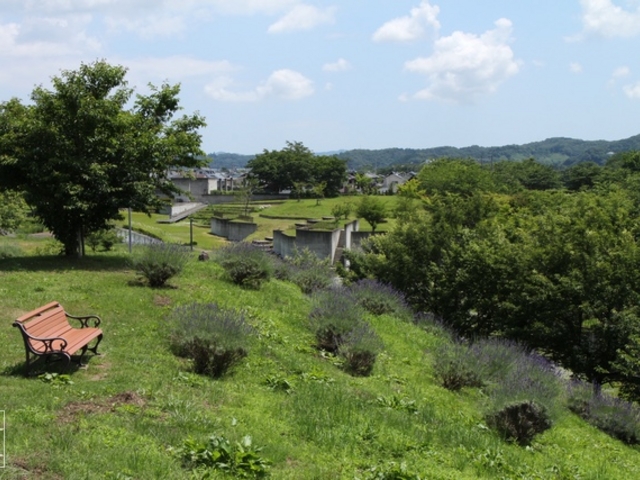 ��͌�����_��͌�����