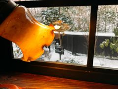 �G����̎R�����̏h�@�R�݂��؂ւ̓��e�ʐ^1