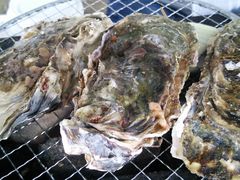 �g���b�L�[����̔��쉑�ւ̓��e�ʐ^1