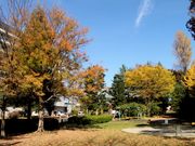 luK[̗^̑iЂ傤j̓eʐ^1