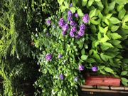 namaۘ̕ãAWTC̓eʐ^1