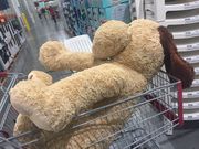 䂫񂳂̃RXgRLX̓eʐ^1