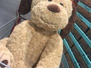 䂫񂳂̃RXgRLX̓eʐ^2