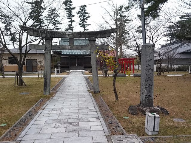 �{���_��_�{������