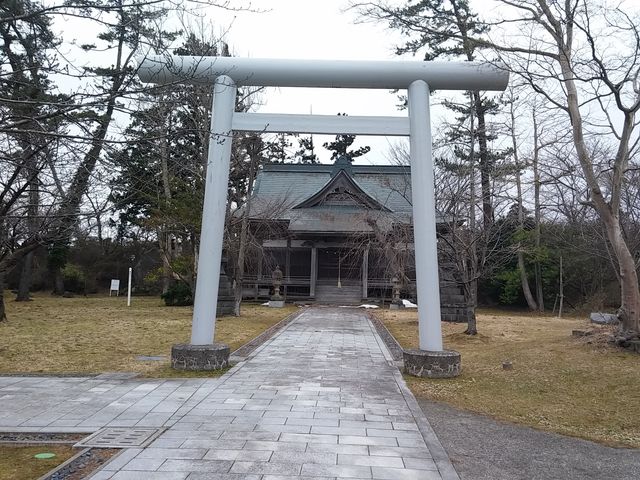 �R��������_�{������