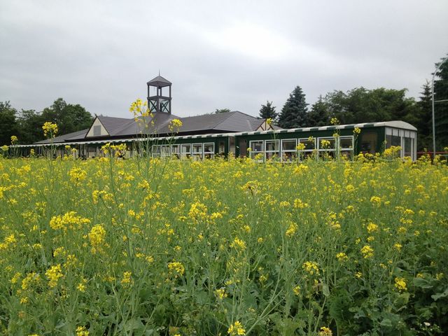 �Y��ł���_�S����������