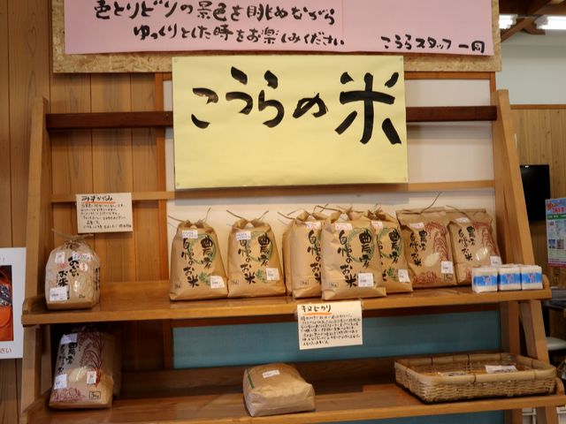 �n���̕�_���̉w�����炬�̗�������