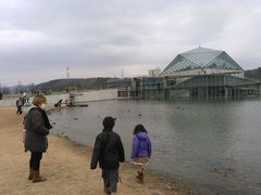 jun̓Ȗ،Ȃ퐅Vւ̓eʐ^1