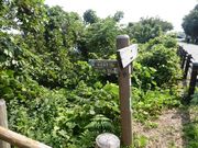 �C�[�X�g�E�b�h����̉Y�x�C�ݎ��R�����̓��e�ʐ^1