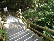 �C�[�X�g�E�b�h����̉Y�x�C�ݎ��R�����̓��e�ʐ^2