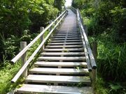 �C�[�X�g�E�b�h����̉Y�x�C�ݎ��R�����̓��e�ʐ^4