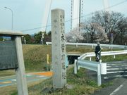 w-masa̖ؑ]ij̓eʐ^1