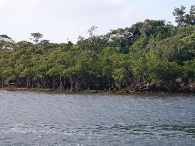 �W�����O��_���Ԑ�V��