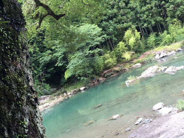 䂫񂳂̖ʉ͐̓eʐ^1