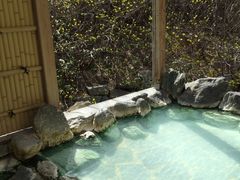 ��������̎ʐ^1