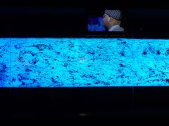 [ڂ̒Ҍ[pقւ̓eʐ^3