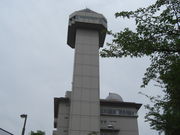 ߂ڂڂ̃XJC[hЂ̓eʐ^1