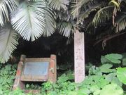 �s���N����̐약�L�˂̓��e�ʐ^1