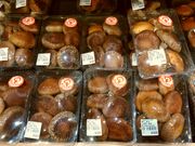 ܂낳̓̉w  XjRjR{w̓eʐ^2