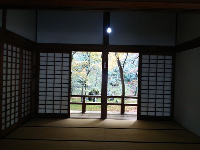 �G�ɂȂ��Ă܂���_�����T��